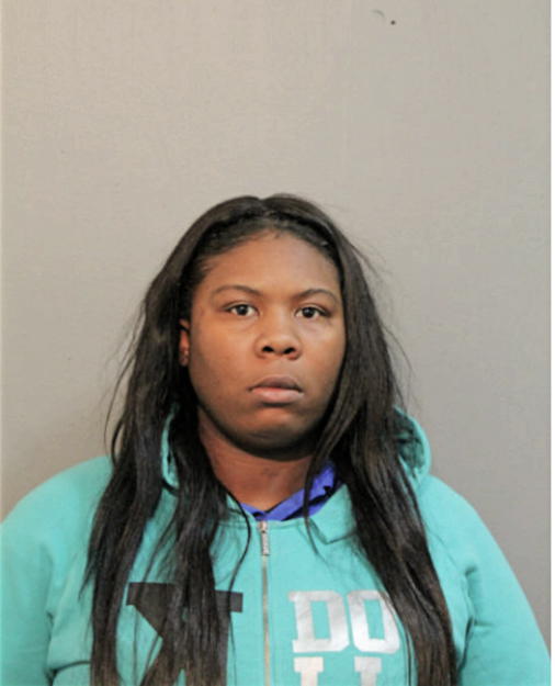 ROBYN S HOWARD, Cook County, Illinois
