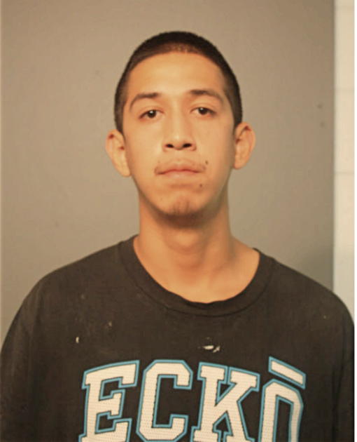 MARCO IBARRA, Cook County, Illinois