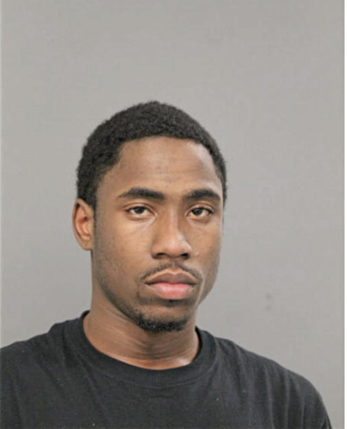 ANDRE A JENKINS, Cook County, Illinois