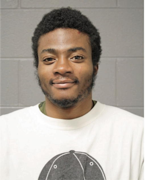 WILLLIE J JOHNSON, Cook County, Illinois