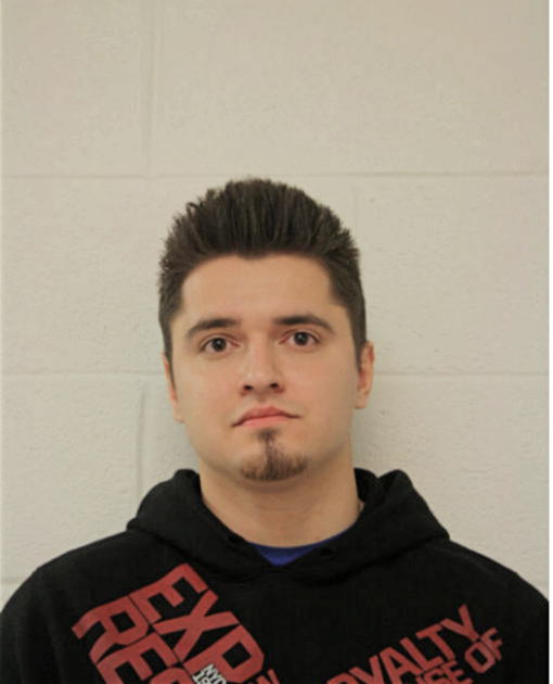 LUKASZ D PIKUL, Cook County, Illinois