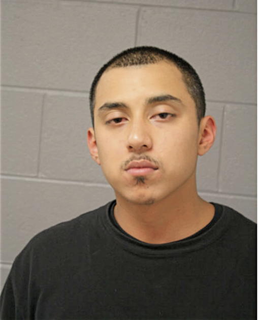 ERIC RAMIREZ, Cook County, Illinois