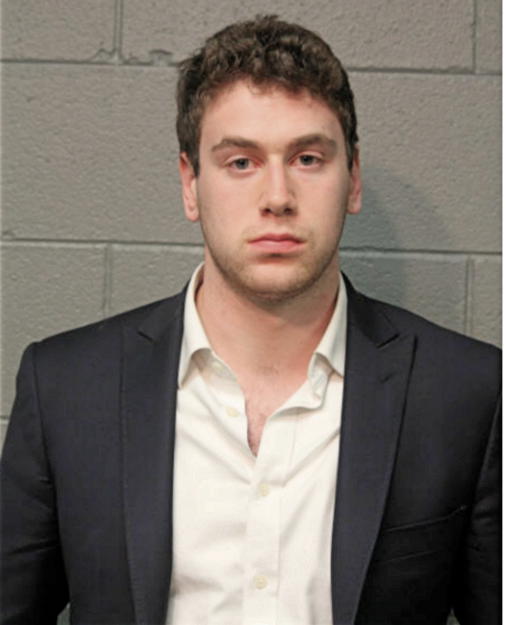 MARTIN H SCHWARTZ, Cook County, Illinois