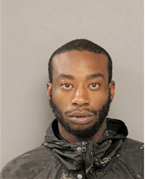 BRIAN L TONEY, Cook County, Illinois