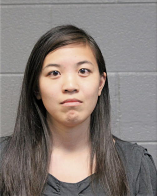 VIVIEN TSOU, Cook County, Illinois