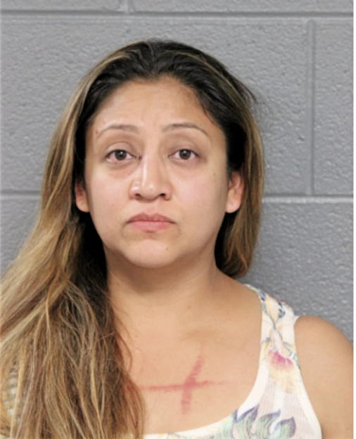 CYNTHIA M VELA, Cook County, Illinois
