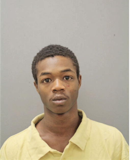 ROBBIE WILLIAMS, Cook County, Illinois