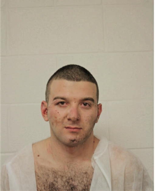 ROSTYSLAV ZHOVHIR, Cook County, Illinois