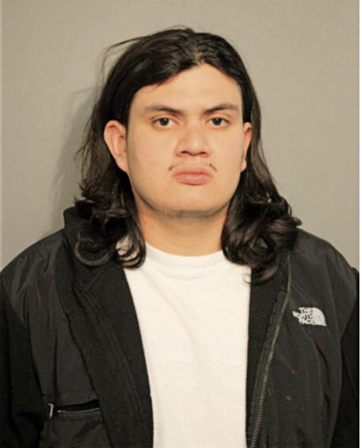 LUIS ABARCA, Cook County, Illinois