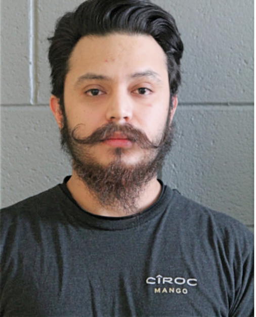 JOSE C AVILES, Cook County, Illinois