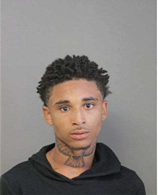 ANTHONY L CRAIG, Cook County, Illinois