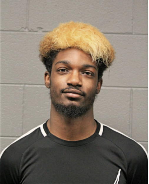 DAVID S JACKSON, Cook County, Illinois
