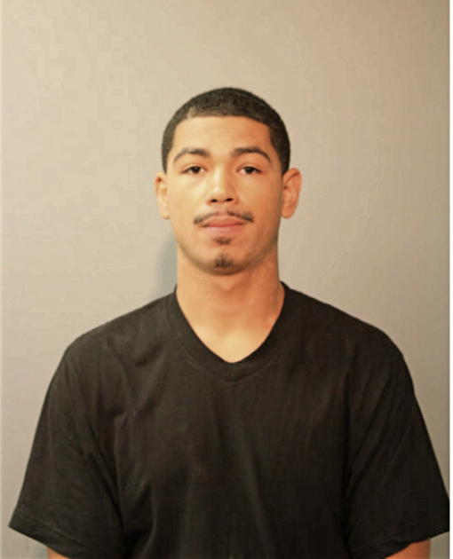 WILLIAM J JACKSON, Cook County, Illinois