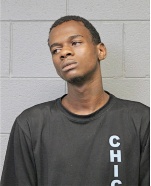 AMON L JOHNSON, Cook County, Illinois