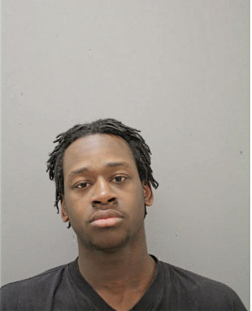 MICHEAL D JOHNSON, Cook County, Illinois