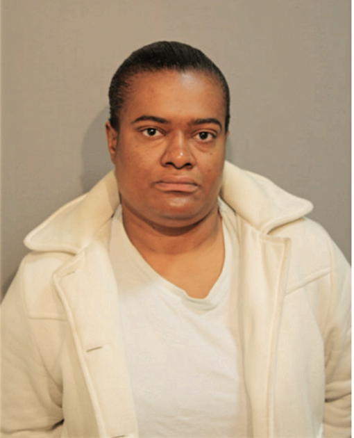 DEBRA J LARKINS, Cook County, Illinois