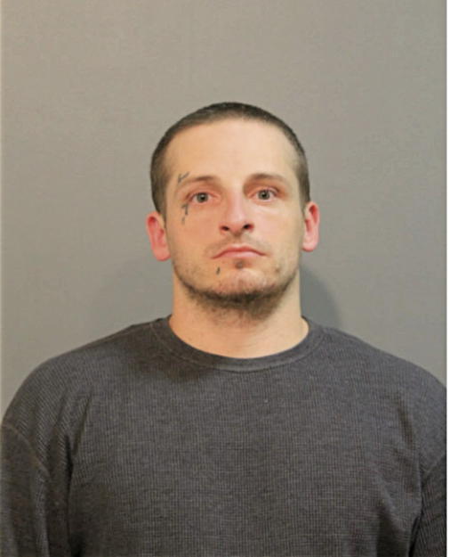 DAVID PAUL LIEPERT, Cook County, Illinois