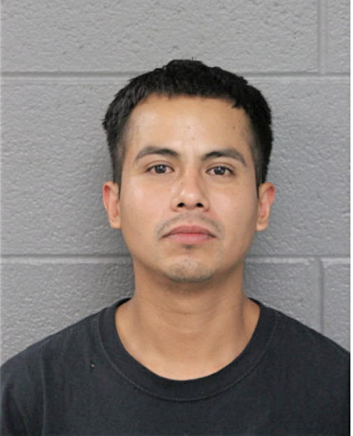 SALVADOR MARTINEZ, Cook County, Illinois
