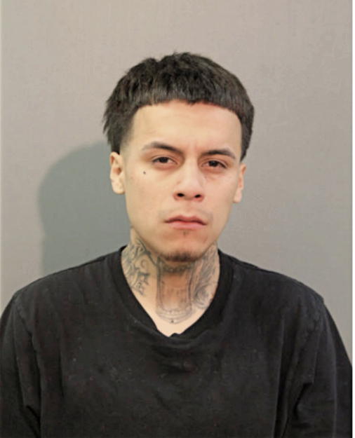 JUAN M MORA, Cook County, Illinois