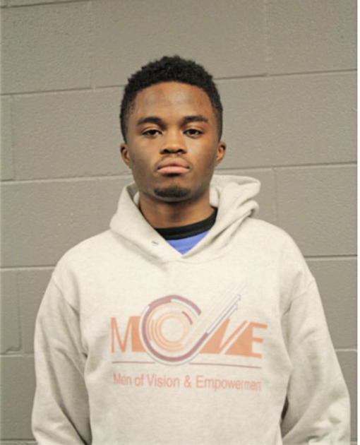 ADEDOYIN E OBASANYA, Cook County, Illinois