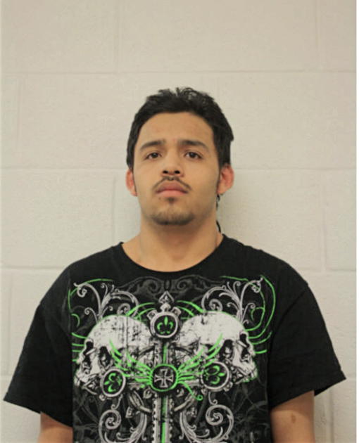 OSCAR PIEDRA-RAMIREZ, Cook County, Illinois