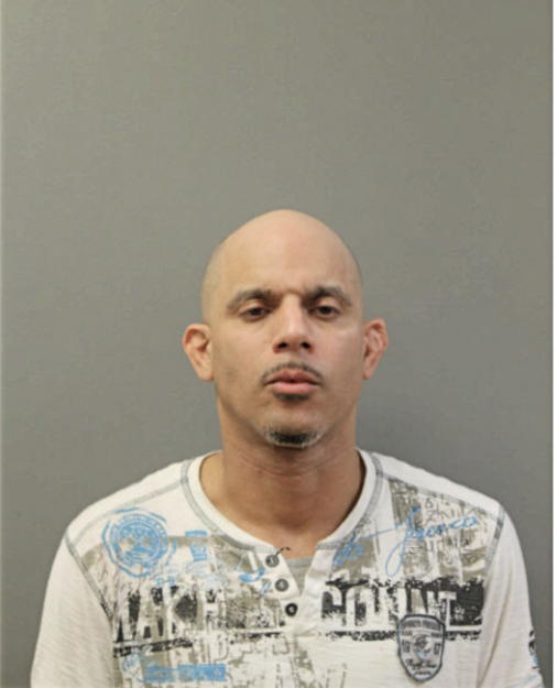 ELLIOTT J PIZARRO, Cook County, Illinois