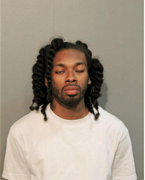 DAMIEN V ROBINSON, Cook County, Illinois