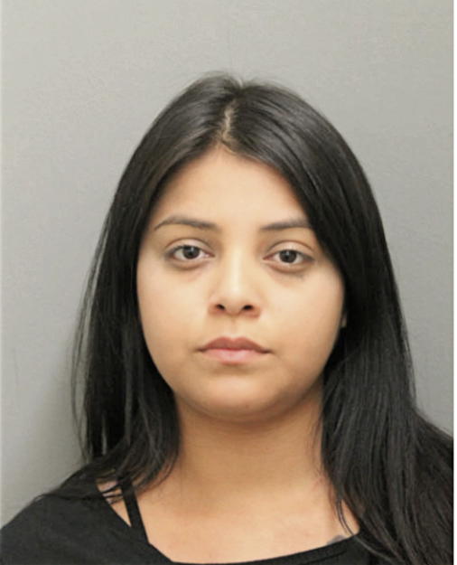 ALYZ SEGURA, Cook County, Illinois