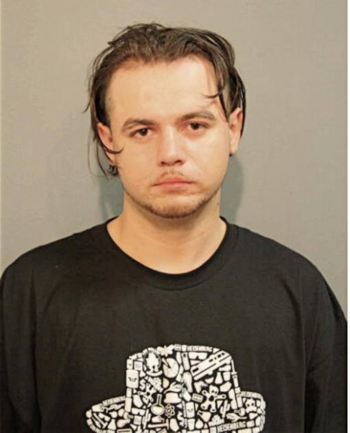 NERMIN VELJACIC, Cook County, Illinois