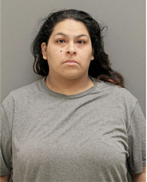 LISAMARIE VILLASANA, Cook County, Illinois