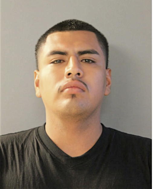 LUIS ANTONIO, Cook County, Illinois