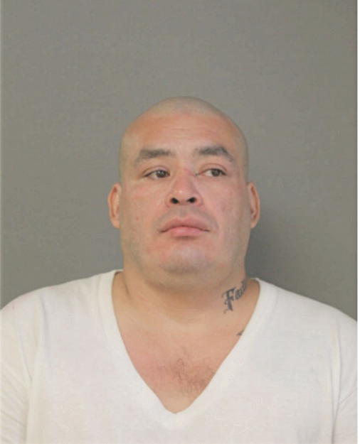 JOSE H BAHENA, Cook County, Illinois