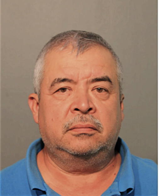 MARIO BAHENA, Cook County, Illinois
