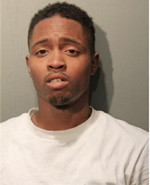 LORENZO R BERGMAN, Cook County, Illinois