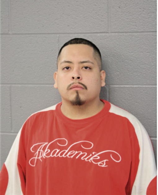 ROBERTO S BRAULIO, Cook County, Illinois