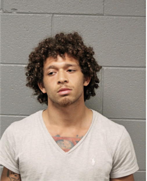 ANTWOINE S BROWN, Cook County, Illinois