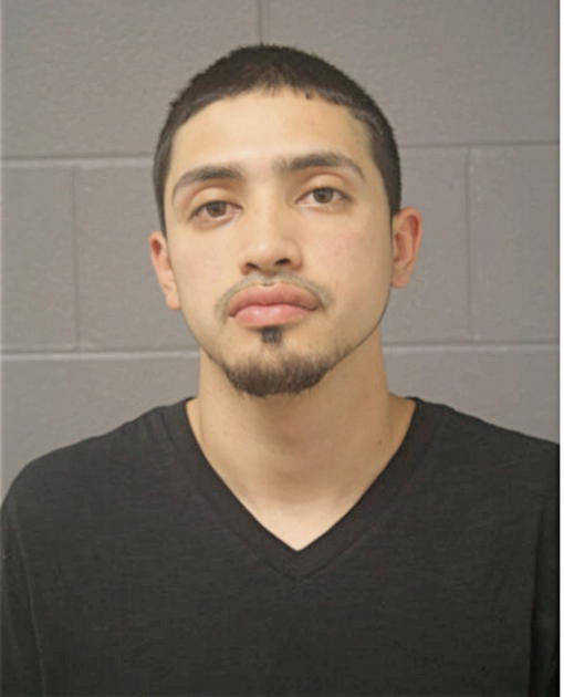 DAVID GARCIA, Cook County, Illinois