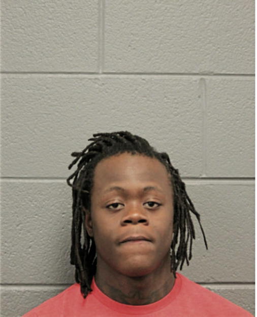 LAAVION D GOINGS, Cook County, Illinois