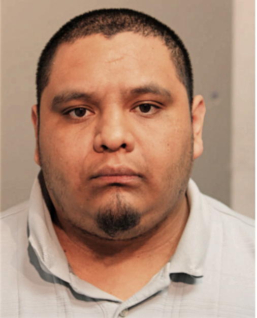 JOSE R GUZMAN, Cook County, Illinois