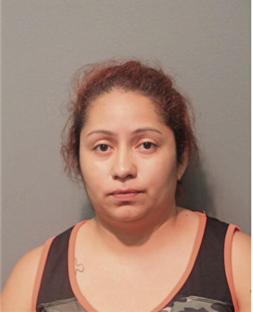 JESSICA H HERNANDEZ, Cook County, Illinois