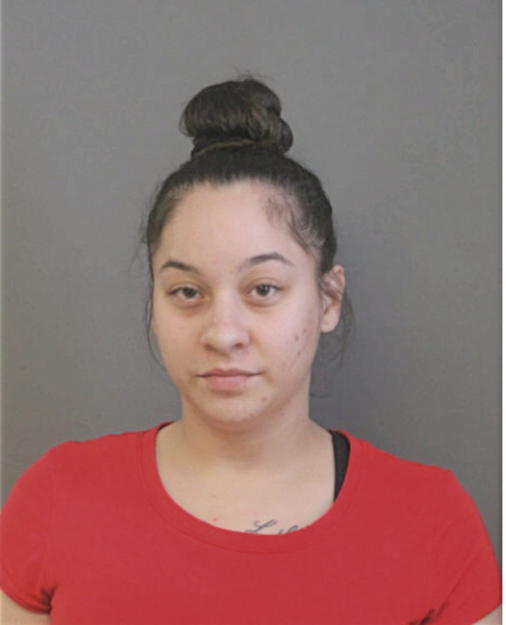 LAUREN N JIMENEZ, Cook County, Illinois