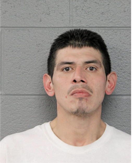 JOSE P LEANOS, Cook County, Illinois
