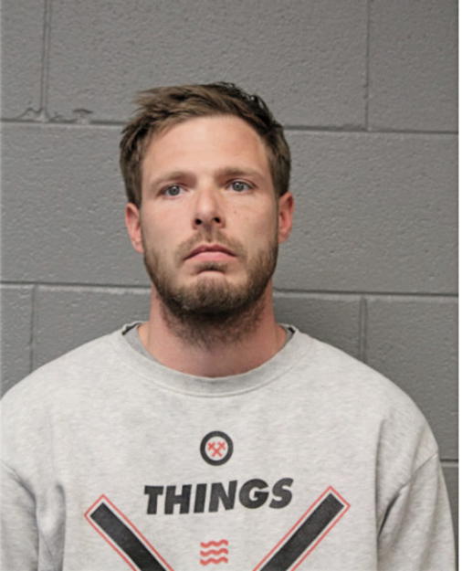 BRIAN J LOWE, Cook County, Illinois