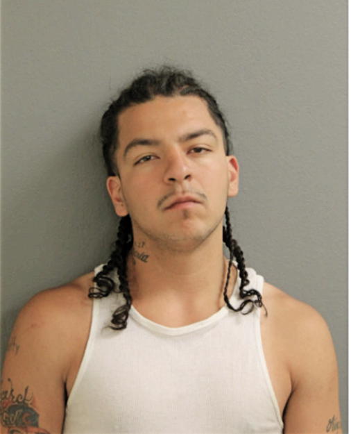 MICHAEL A PADILLA, Cook County, Illinois