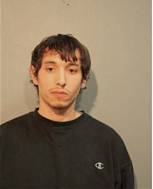 OSCAR ROBLEDO, Cook County, Illinois