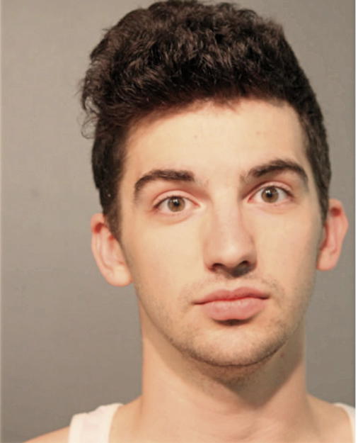 MICHAEL C SCHELL, Cook County, Illinois