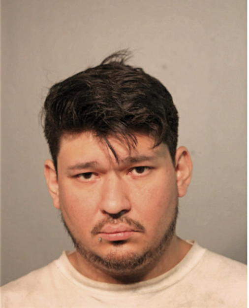 ANDREW SEAT, Cook County, Illinois