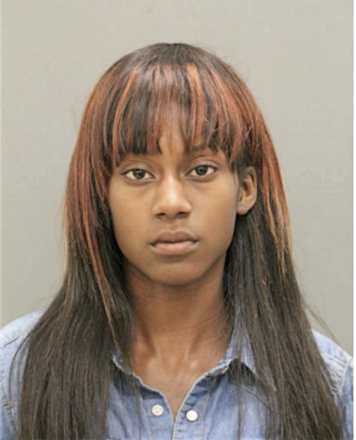 BRITTANY S STEVENS, Cook County, Illinois