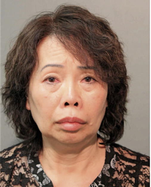 HOA THI SY, Cook County, Illinois