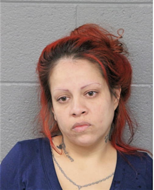 KARINA E VELAZQUEZ, Cook County, Illinois